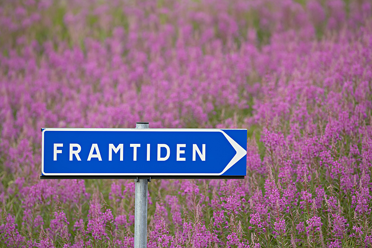 En vägskylt med texten "Framtiden"