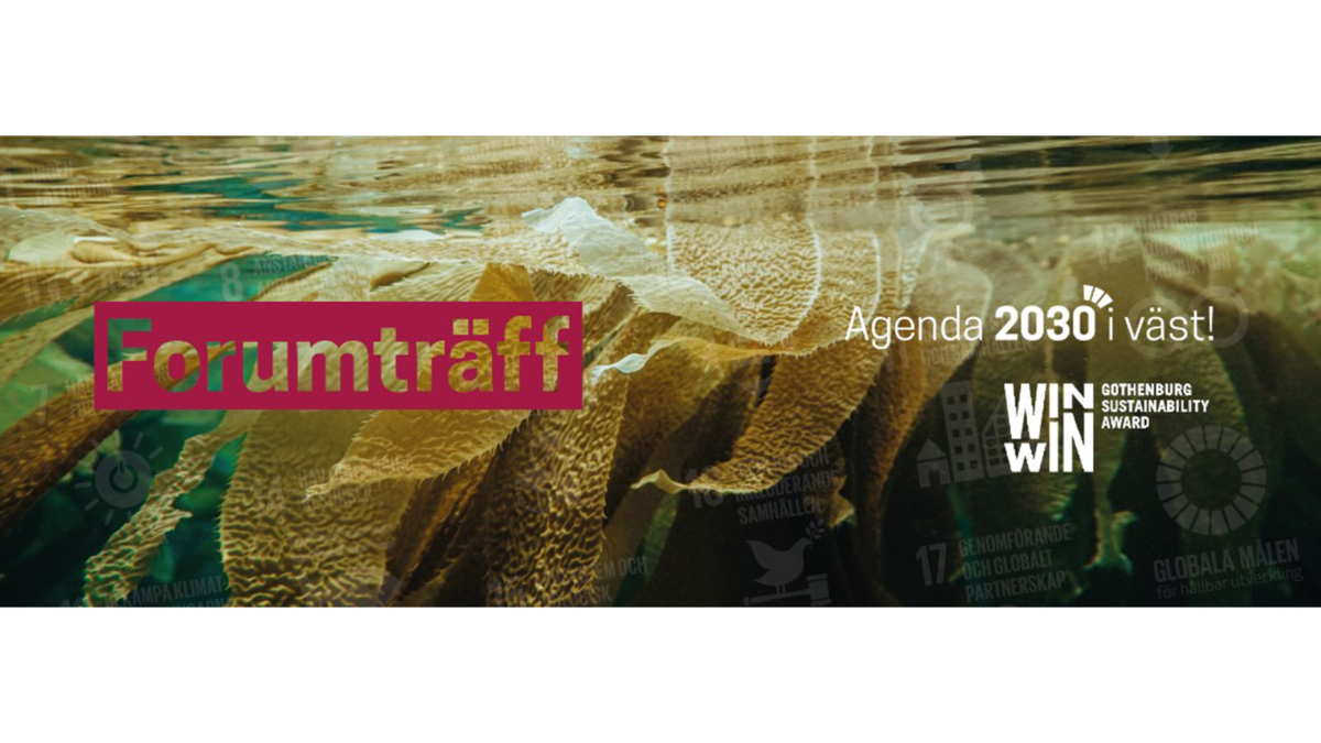 forumtaff