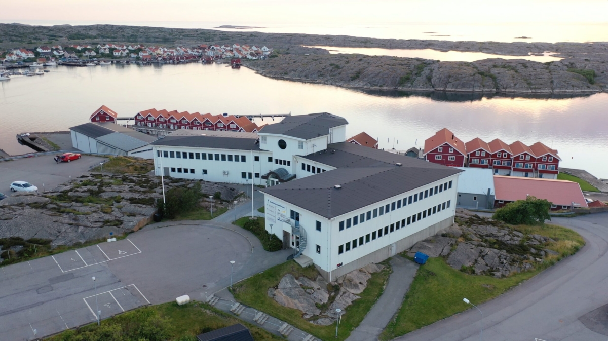 Flygbild över Symbioscentrum i Kungshamn. I bakgrunden syns en del av Smögen.