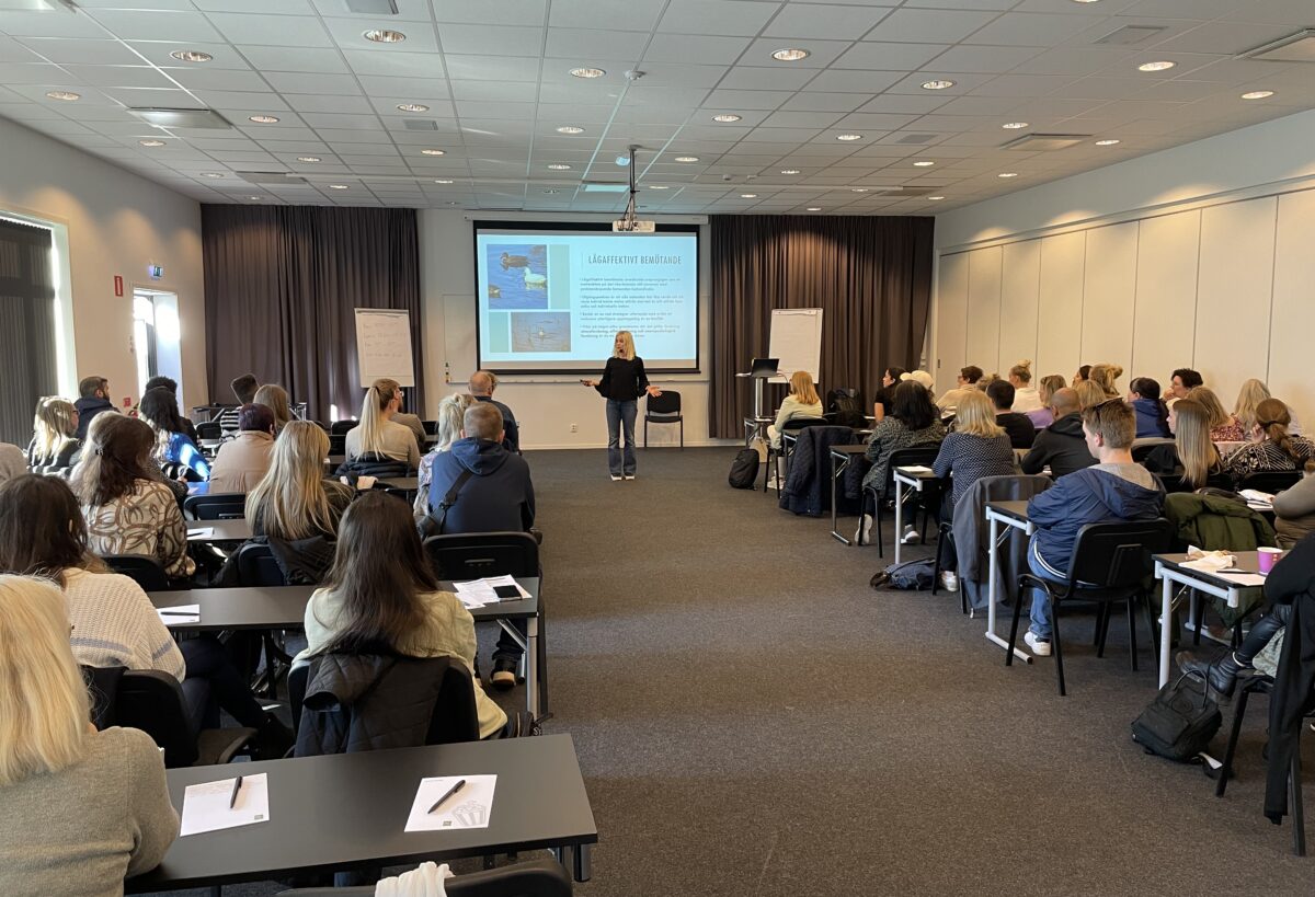 Flera personer sitter i ett konferensrum och lyssnar på en kvinna i mitten som står framför en stor skärm.