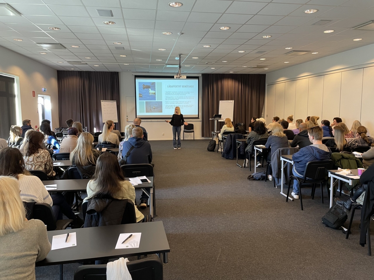 Flera personer sitter i ett konferensrum och lyssnar på en kvinna i mitten som står framför en stor skärm.