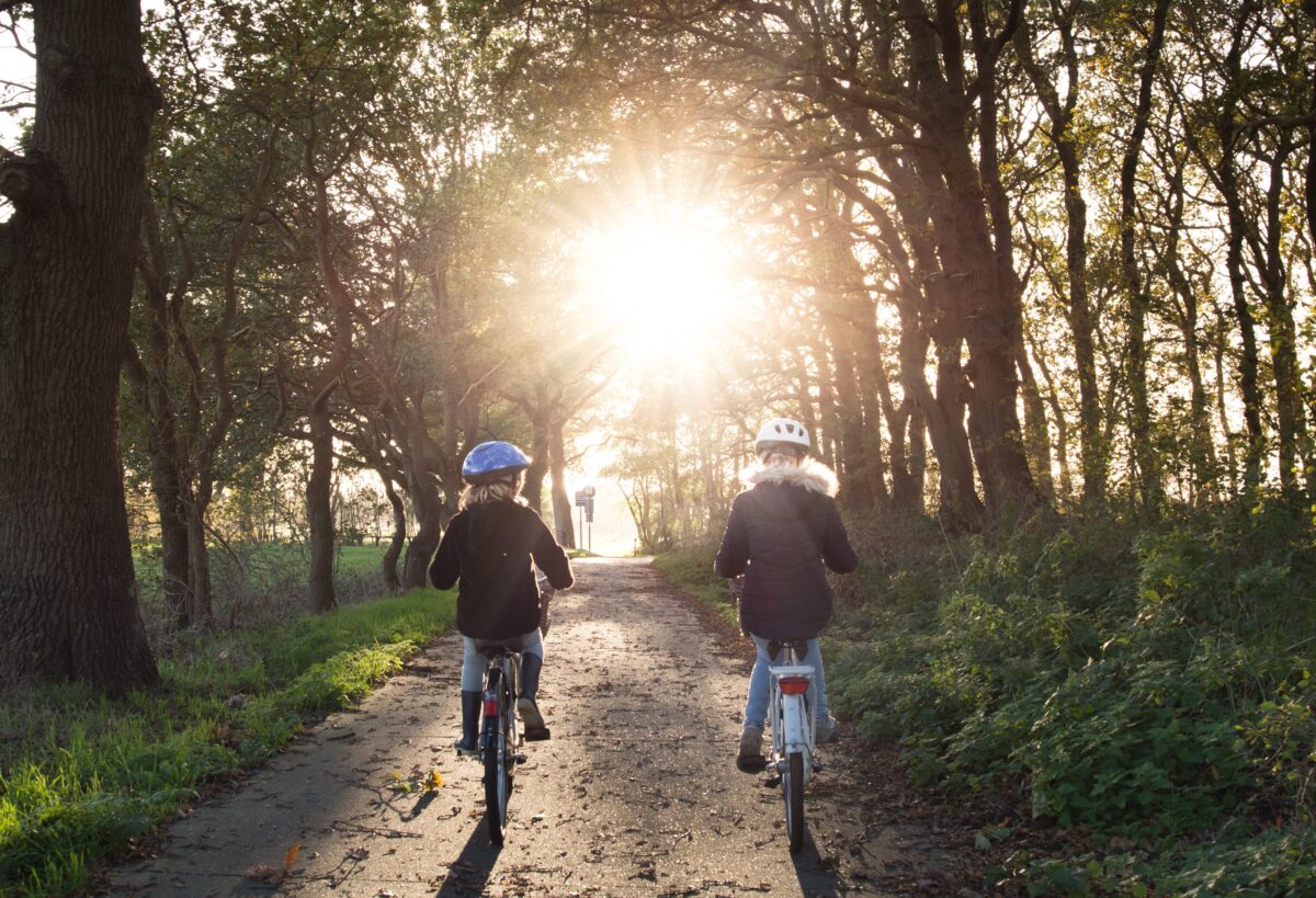 Två barn med cykelhjälmar cyklar i en solupplyst allé.