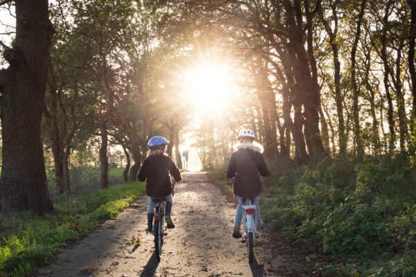 Två barn med cykelhjälmar cyklar i en solupplyst allé.