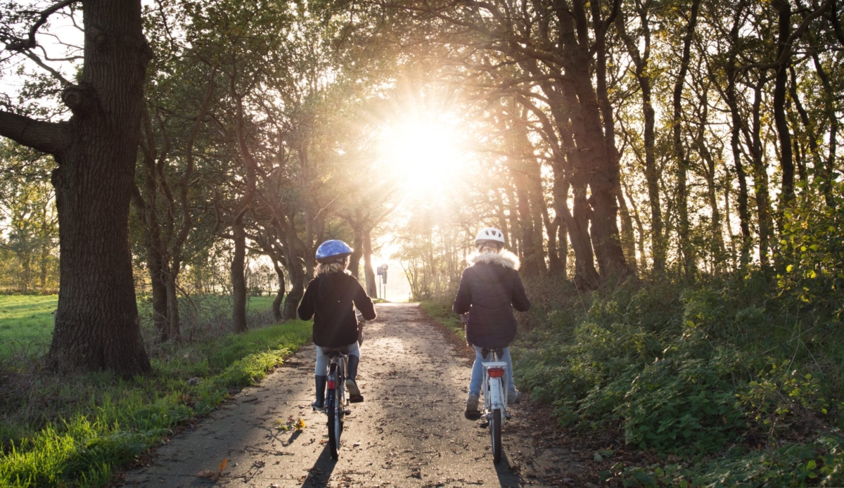 Två barn med cykelhjälmar cyklar i en solupplyst allé.