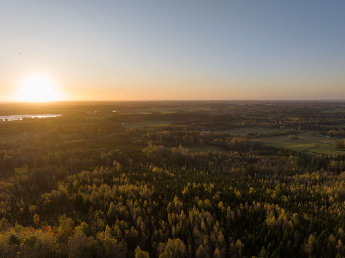 Drönarvy över solnedgång och skog